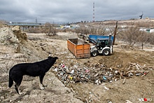 «Решили не тратиться»: рядом с «танцующим» мостом Волгограда выросла гора строительного мусора