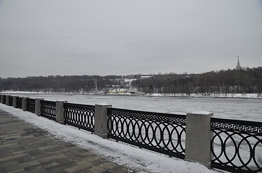 Провалившегося под лед москвича спасли в Парке Горького