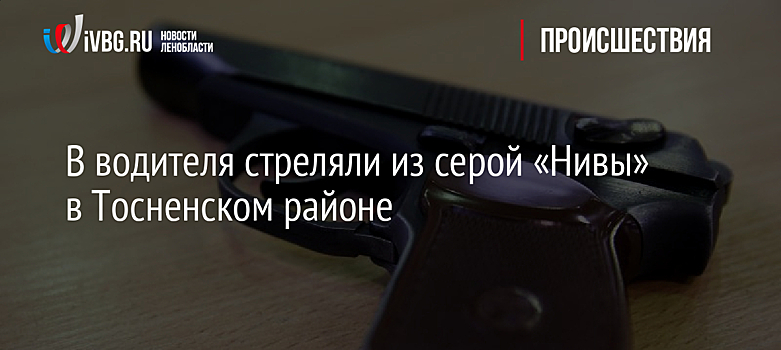 В водителя стреляли из серой «Нивы» в Тосненском районе