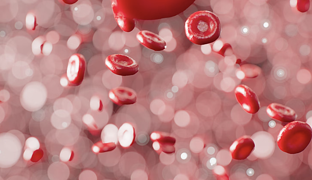 Найдена "неожиданная" функция иммунных клеток крови