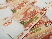 Эксперт оценила использование бюджетных правил для сырьевой экономики