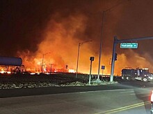 Число погибших в результате пожаров на Гавайях возросло до 55
