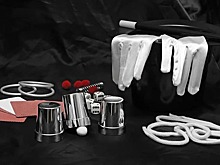 В центре Петербурга разбили аллею в память о знаменитых цирковых династиях