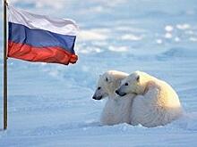 В районах российской Арктики состоится около ста мероприятий