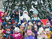 В красногорском экопарке «Губайловский» зажгли огни новогодней елки
