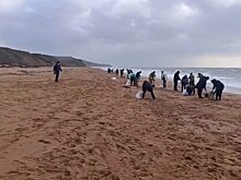 Мазутные пятна достигли Евпатории на западе Крыма