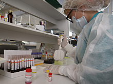 Роспотребнадзор сообщил о резком сокращении случаев COVID-19 в Новосибирской области