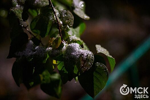 Самый жаркий год закончится в Омске аномально холодным декабрём