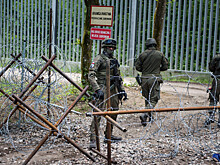 В Польше раскрыли количество нелегалов, пытавшихся проникнуть в страну через Белоруссию
