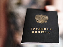 У россиян появятся электронные трудовые книжки
