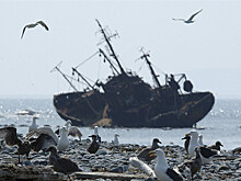 Япония подбирается к Курилам