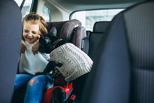 Травматолог Григорьев заявил о важности автомобильных детских кресел