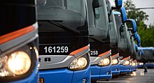 Белорусы запаниковали из-за вставших у Москвы автобусов