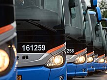 Белорусы запаниковали из-за вставших у Москвы автобусов