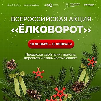 Присоединяйтесь к «Ёлковороту»