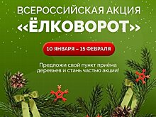 Присоединяйтесь к «Ёлковороту»