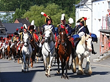 Стала известна одна из причин массовых потерь армии Наполеона в России
