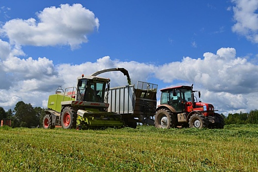 Собранного в Верхневолжье урожая хватит, чтобы закрыть потребности регионов