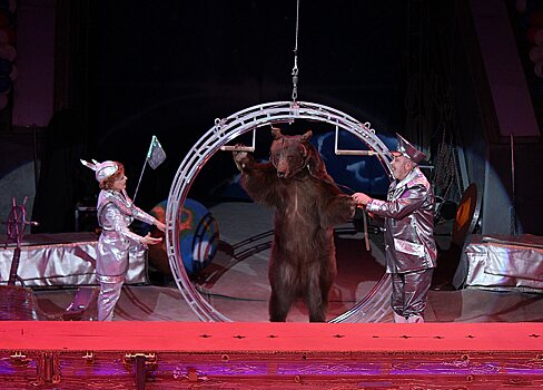 Летающий медведь и «Колесо смелости»: нижегородский цирк приглашает в «Звездный круиз» (ФОТО)