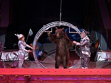 Летающий медведь и «Колесо смелости»: нижегородский цирк приглашает в «Звездный круиз» (ФОТО)