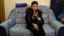 Бездомный кот всю ночь грел потерявшегося мальчика под Калининградом