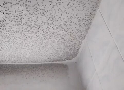 Студенты НГАТУ пожаловались на антисанитарные условия в общежитии