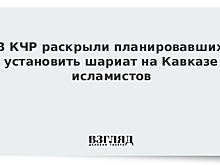 Опубликовано видео задержания исламистов в Карачаево-Черкесии