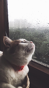 #Итоги: На что способна камера вашего iPhone (+обои)