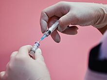 Стало известно, сколько выделит РФ на платформы быстрой разработки вакцин