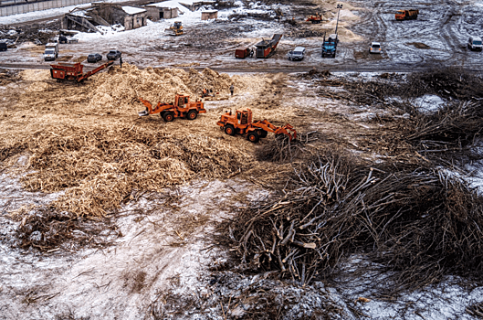 Шесть горячих точек вырубки деревьев в столичном регионе: Статьи экологии ➕1, 03.02.2023