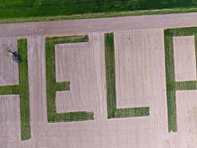 HELP: Фермер во Франции оригинально попросил власти о помощи