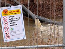 Трамп предупредил об экологической катастрофе в США