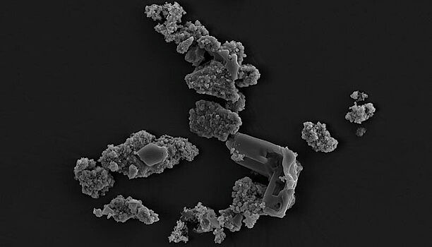 Микроорганизм, предпочитающий в качестве пищи… метеориты!