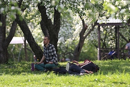 Яблоневый сад в Ивантеевском питомнике сохранит наследие нескольких поколений ученых