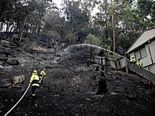 Один человек погиб и десятки домов сожжены в результате пожаров в Австралии