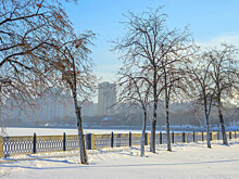 На Московский регион наступают 19‑градусные морозы