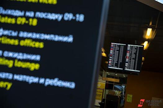 В нижегородском аэропорту Стригино проверяют всех пассажиров из стран Азии