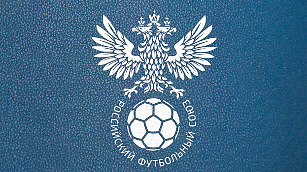 Всероссийский день футбола могут сделать официальным праздником