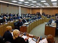 Прокуратура осталась недовольна доходами жен депутатов Заксобрания