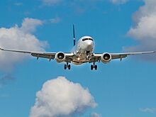 «Деловые Линии» сократили сроки авиаперевозок по более чем 5 000 направлений по России и в ЕАЭС