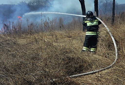 Красноярск снова окутало дымкой от лесных пожаров