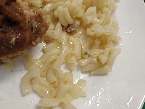 В последний день работы в екатеринбургской школе «Золушка» дала прощальный обед с плесенью