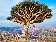 Российские туристы нашли способ попасть на уникальный остров Сокотра