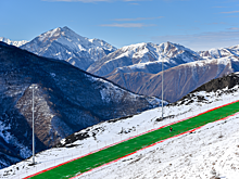 Снежно-зеленые «Ведучи»