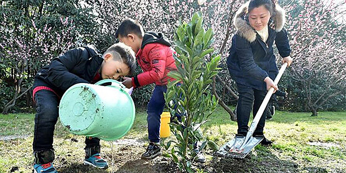 В Китае взрослые и дети сажают деревья