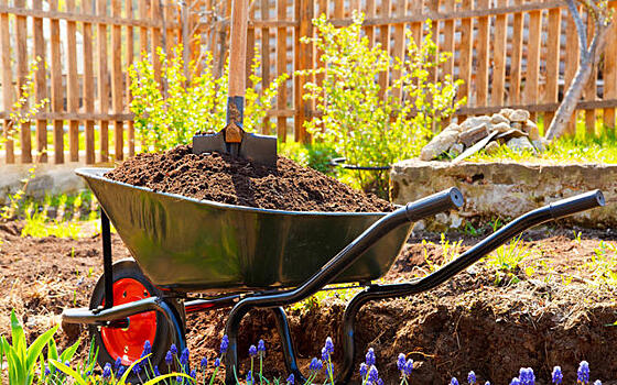 Компост: как вред превратить в пользу