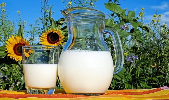 Диетолог рассказала о пользе отказа от молока