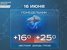 Тепло и дождливо будет в Свердловской области на этой неделе