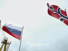 Депутат Норвегии Серейде заявила о нарушении антироссийских санкций в стране