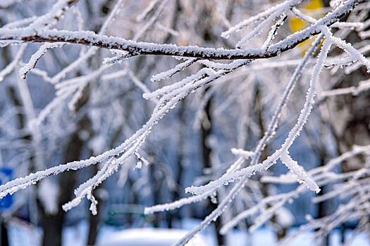 «Роскосмос» опубликовал кадры надвигающегося на Москву снежного циклона